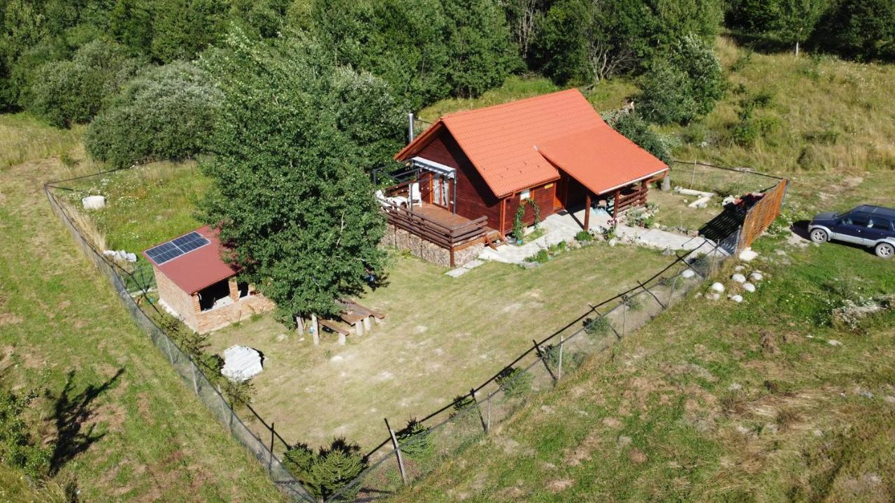 Cabana Nyiko Cu Ciubar Lupeni  Buitenkant foto