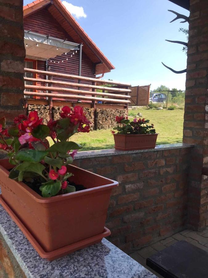 Cabana Nyiko Cu Ciubar Lupeni  Buitenkant foto