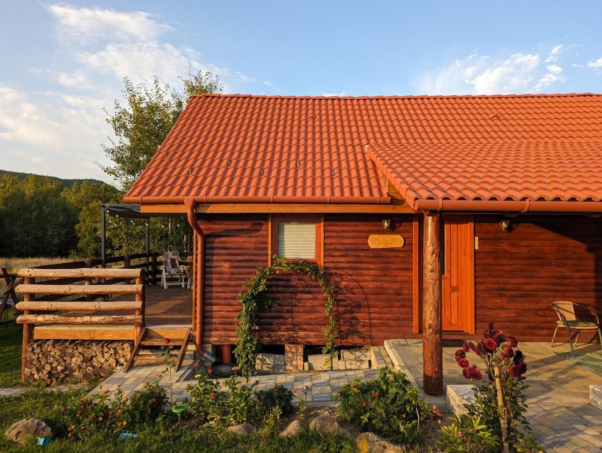 Cabana Nyiko Cu Ciubar Lupeni  Buitenkant foto