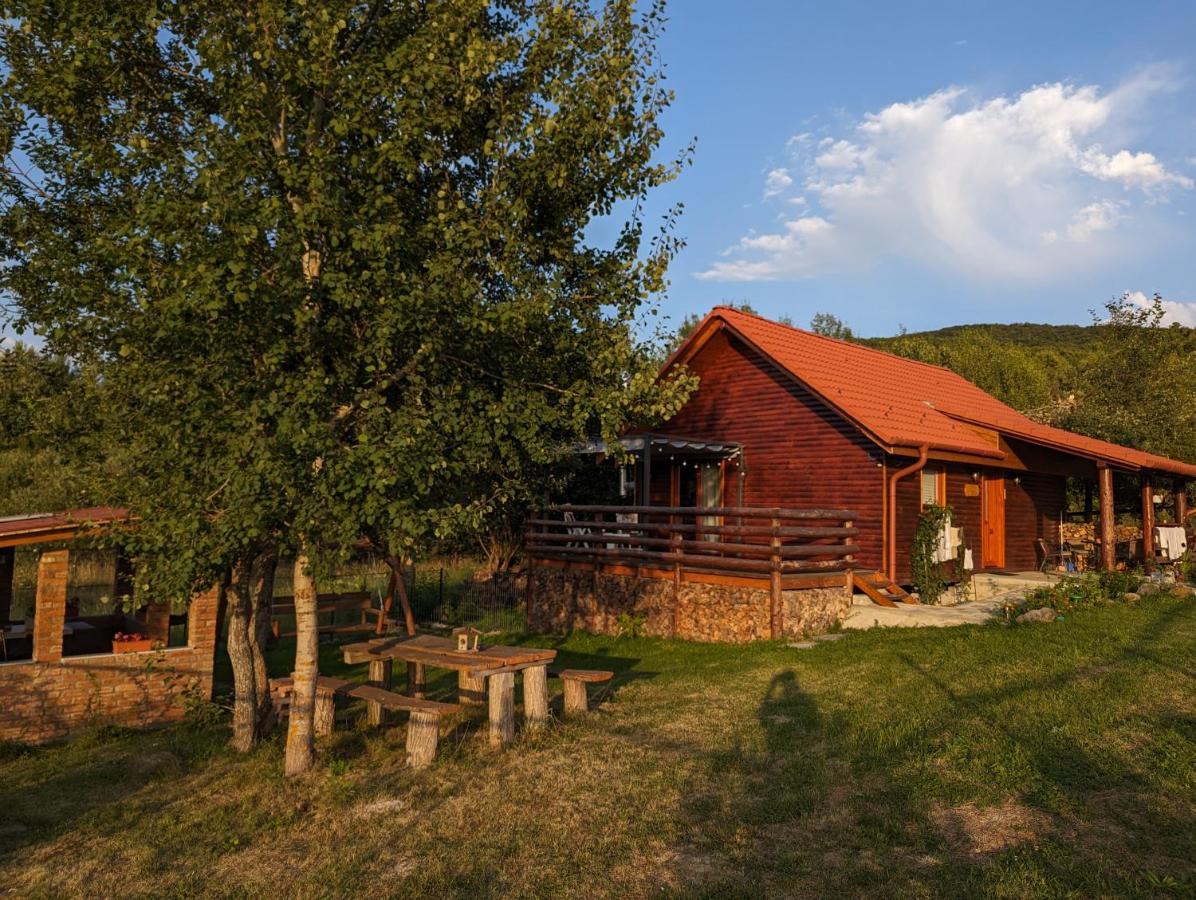 Cabana Nyiko Cu Ciubar Lupeni  Buitenkant foto
