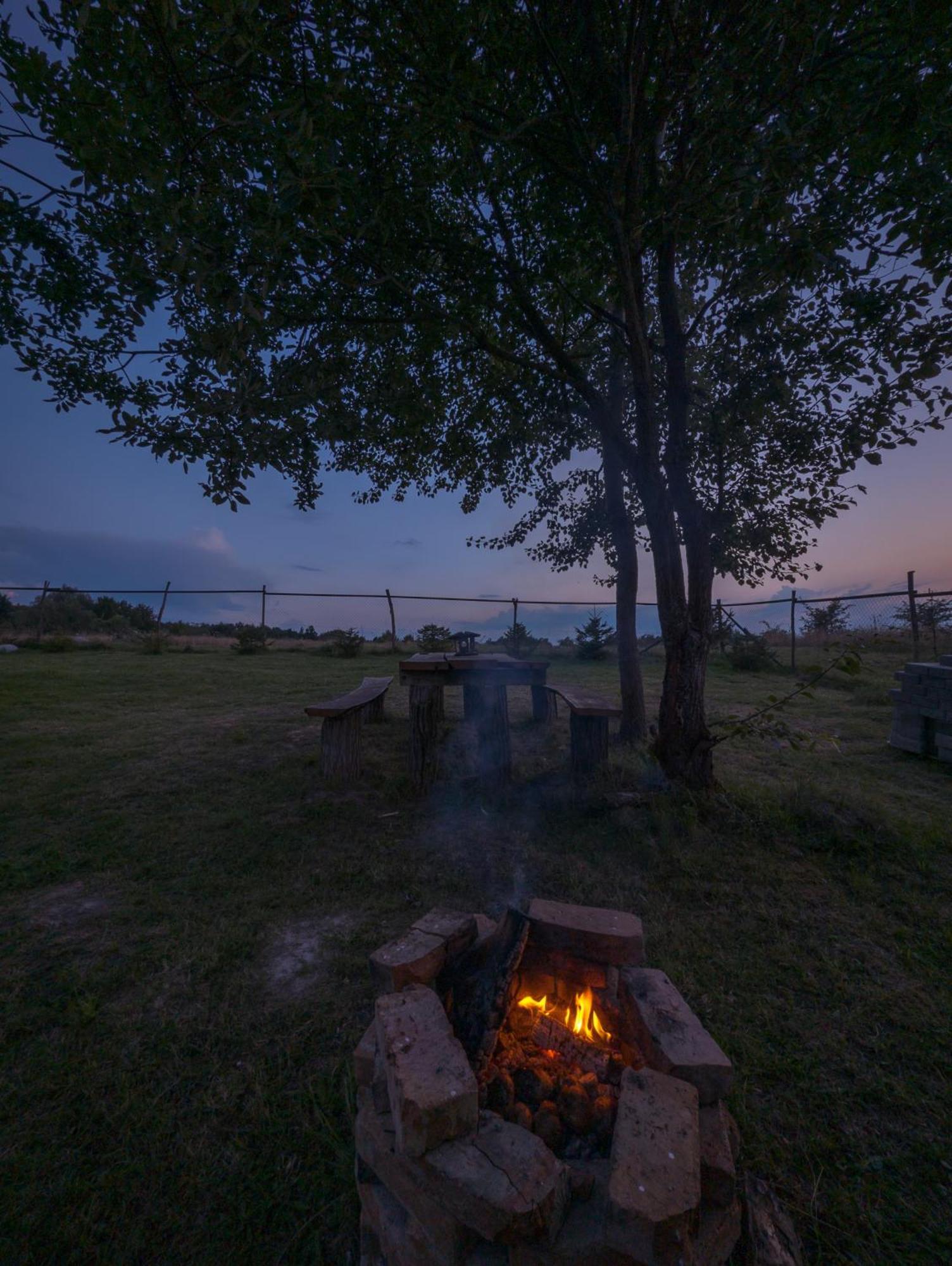 Cabana Nyiko Cu Ciubar Lupeni  Buitenkant foto